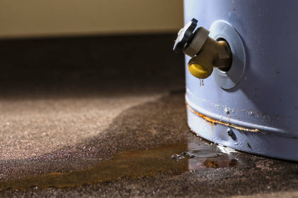 Best Water damage restoration near me  in Punaluu, HI