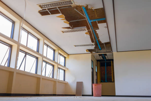 Best 24/7 water damage repair  in Punaluu, HI