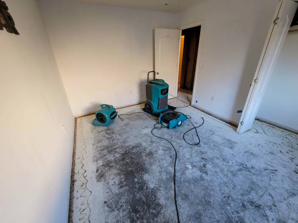Best Sewage cleanup and water damage restoration  in Punaluu, HI