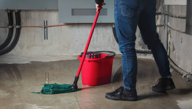 Best Emergency water damage restoration  in Punaluu, HI