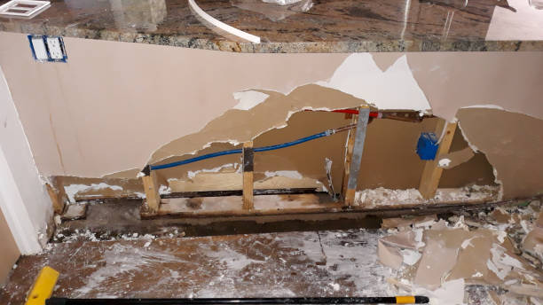 Best Basement water damage restoration  in Punaluu, HI