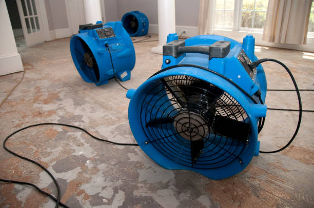 Best Flood damage cleanup  in Punaluu, HI