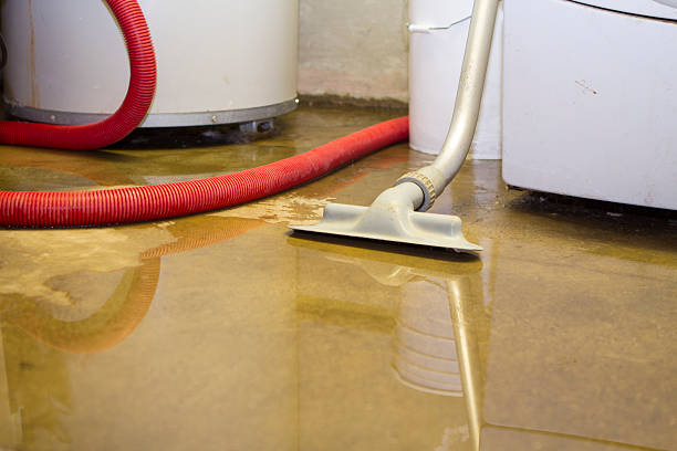 Best Residential water damage restoration  in Punaluu, HI