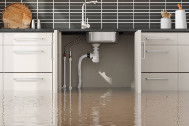 Best Flood restoration services  in Punaluu, HI