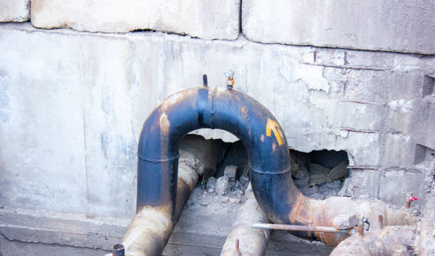 Best 24/7 water damage repair  in Punaluu, HI